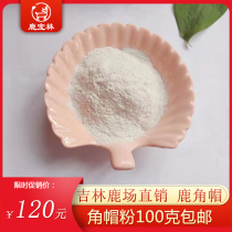 Antler cap powder horn powder tray Jilin pure Sika deer dredge fallopian tube breast 100 grams