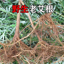 Wild May Ai Gan 500g Ai leaf root Egan Wormwood root leaf Ai Gan Hakka soup material