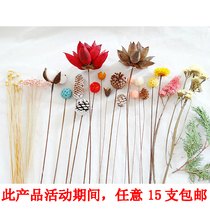 Cross fruit Chrysanthemum showerhead wheat ear natural dried flower kindergarten hand flower arrangement with wire home environmental protection flower branches