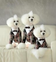 Spring Bao Dependents Pet Dress Dogs Clothes Plaid West Suit Jacket Write Real Wedding Suit Teddy Coat