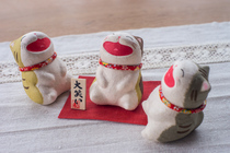 Spot reentry to Japans Kyoto Longtiger for work and paper Laugh Cat Confess to Wedding Gifts for Marriage and Gift Gifts