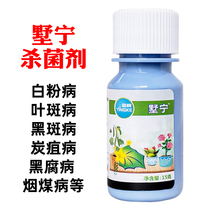 Shuning 30% oxime bacteria · Ethyl phenol powdery mildew fungicide