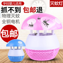 New Pint Baby Mini Mosquito Killer 2020 New Usb Photo-Catalyst Mosquito-borne Mosquito-borne Mosquito-borne Summer Mosquito Killer