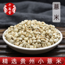 Raw coix seed 500g coix seed Chinese medicinal materials New sulfur-free Guizhou Iron White coix rice seed small bulk Bulk