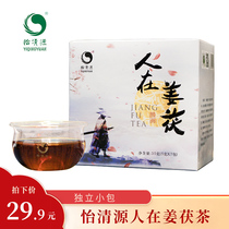  Yiqingyuan Anhua black tea people brew black tea in ginger Fu bags Ginger tea Fu bricks independent loose tea bags black tea tea leaves