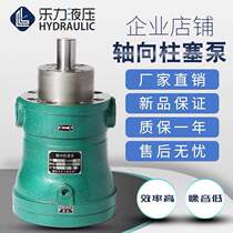2 5MCY5MCY10MCY 25MCY 40MCY63MCY 160MCY14-1B Qidong axial plunger pump