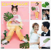 Simulation plant leaves small fresh and simple coconut leaves decoration fake leaves new photo photography posing props