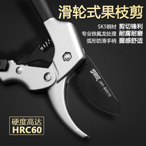 Elite front pulley garden shears garden shears pruning shears fruit tree shears flower shears knife shears branch scissors