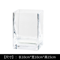 Pete Cat Simple small vase glass square table with transparent vase in European square fish tank home