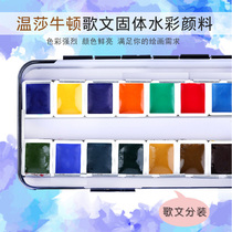 British Windsor Newton Gewen watercolor pigment 24 colors 40 colors 0 52ml Dispensing tube color iron box Solid watercolor