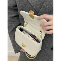 Package Bag Women 2023 New Summer Advanced Sensational Style Small Crowddesign Single Shoulder Axillary Bag 100 Hitch Chain Inclined Satchel Bag