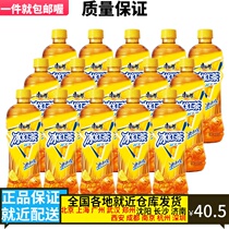 Master Kong beverage iced tea 500ml 550ml 550ml * 15 bottles of whole box (new and old packaging randomly shipped)