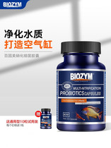 Bainme Nitrifying Bacteria Aquatic Water Digestive Bacterial Capsules Live Bacteria Capsules Dry Powder Water Stabilizer