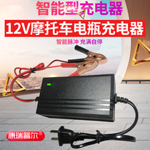 12v Volt pedal motorcycle battery charger lead-acid smart battery automatic universal repair charger