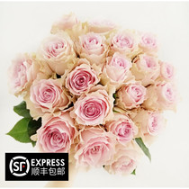 Rose flower pink rose Fresh rose Single head rose pink diamond high quality rose 18 household flower arrangement