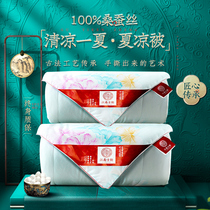  Jiangnan ancient rhyme silk quilt 100 mulberry silk spring and autumn and summer cool quilt mother quilt