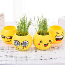 Grass planting doll expression mini grass easy to live long desktop potted plant potted grass head gift diy