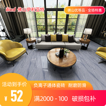 Foshan Iliad tile rock gray living room negative ion through marble tile 800x800 simple