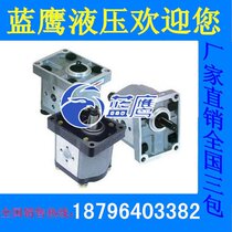 CBN-E312 CBN-E312 E314 E314 E316 E310 E325 E308 E306 E318 E318 E318 E318 E318 E318 gear pump