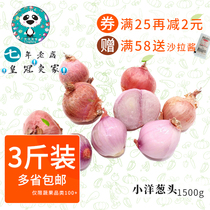 Small onion shallots dry shallot red onion red onion with a selection of dried scallion spices Spice Ingredients Vegetables 1500