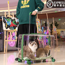 Pet trolley case transparent cat bag go out portable large-capacity space capsule dog cat backpack hand luggage