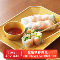 Spot Japan imported Swi Mizumizu Mei thick multi - size rectangular plate dishes Japanese dishes