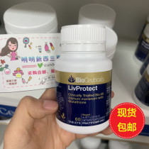 Australian Bioceuticals local tyrant milk thistle protect dry liver Tablets 60 LivProtect liver protection hangover