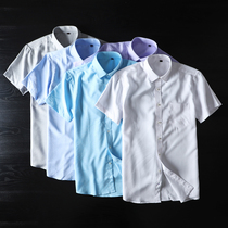 Slub hemp sip non-iron foreign trade export tail single cut bull shirt shirt mens short sleeve casual trend shirt