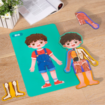Body Structure Puzzle Human Organ Cognitive Puzzle Boys and Girls Children Safety Education Wooden Educational Toy