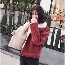 New imitation rabbit hair cotton clothing women 2019 winter new Korean version loose velvet thickened corduroy jacket cotton coat women