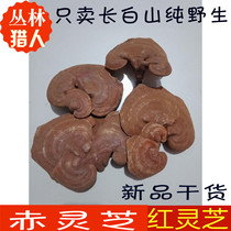 Changbai Mountain Red Ganoderma lucidum Northeast red Zhi planting basswood spore powder semi-wild pruning agricultural dry goods 500 grams