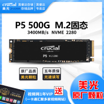 Critical Micron Enright P5 500g NVMe PCIe Protocol M2 Interface 2280 Solid State Drive