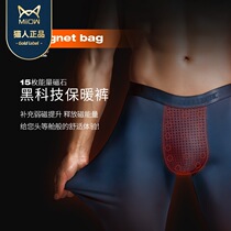 Mens Warm Pants Autumn Pants Slim Fit Pants Magnet Lining Pants Modale Wire Pants Workout AUTUMN WINTER COTTON WOOL PANTS