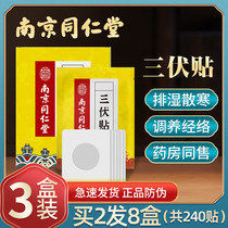 Nanjing Tong Ren Tang Sanfu patch Winter disease summer treatment moxibustion wormwood patch Shoulder and neck joint patch Cervical spine patch Acupoint patch