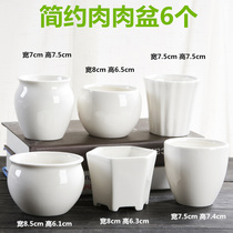 Multi-meat flower pot ceramic special price clearance breathable creative meat plant white simple multi-meat pot suit combination