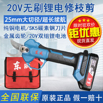 Dongcheng electric pruning shears DCYD25B rechargeable lithium-electric scissors fruit trees garden rough shears Dongcheng pruning shears