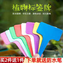 Thickened insert Mark mark plate T-color flower brand gardening label PP plastic sign succulent plant insert card