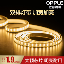 Oppo LED Lamp with Living Room Ceiling Seven Color Color Changing Dual Row Light With Patch Highlight Running Horse Soft Light String Lights 220