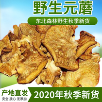 Northeast specialty wild farm frozen mushroom Yuan mushroom Changbaishan dry winter mushroom chicken stewed hazelnut mushroom Shiitake mushrooms 500g