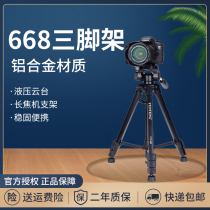 Yunteng 668 Portable Tripod for Sony Blackcart Mount Micro SLR Camera DV Photo Camera Triangle