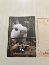 The postcard brought back by the owner during his trip to Okuno Island Rabbit Island in July 19 has a seal