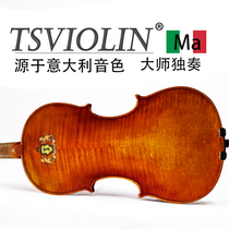 Solid Wood European material imported violin performance solo professional violin personality painting