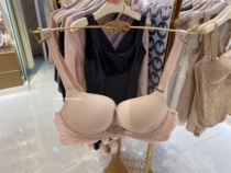 Huasong Gold Label small breasted with smooth surface mold cup in thick slips for about 100 lap womens underwear WB1199 Domestic
