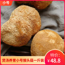 Fujian Gutian trumpet Hericium erinaceus mushroom slice soup material nourishing stomach powder Hericium erinaceus powder mushroom 500g fresh dry goods