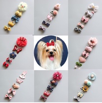 5 Pieces Suit Pet Head Accessories Yorkshire Butterfly Knot Hair Accessories Pooch Teddy Hairpin Hairpin Cat Trinket