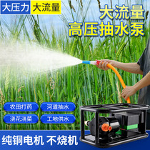 Rechargeable water pump high-power water pump farmland with irrigation battery watering machine agricultural watering vegetable watering artifact