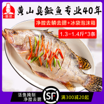 (1 3 Jin * 3) Huangshan smelly mandarin fish Anhui specialty authentic Huizhou kitchen smelly cinnamon fish semi-finished products fresh frozen