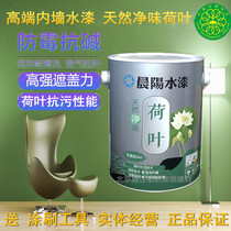 Chenyang water paint Natural clean lotus leaf interior wall scrub-resistant water-based paint paint Non-latex paint Home decoration paint