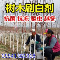 Garden Fruit Tree Brush Powdery Powder Spray Anti-Chill Bark Powder Brush Spray Paint Anti-Frost Lime Powder Green Plant Bonsai