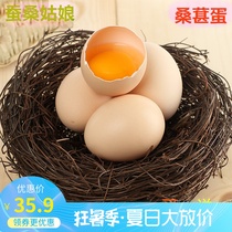 Mulberry garden to eat mulberry chicken to produce selenium-rich mulberry eggs Northern Jiangsu farm free-range fresh soil eggs shipped 30 pieces
